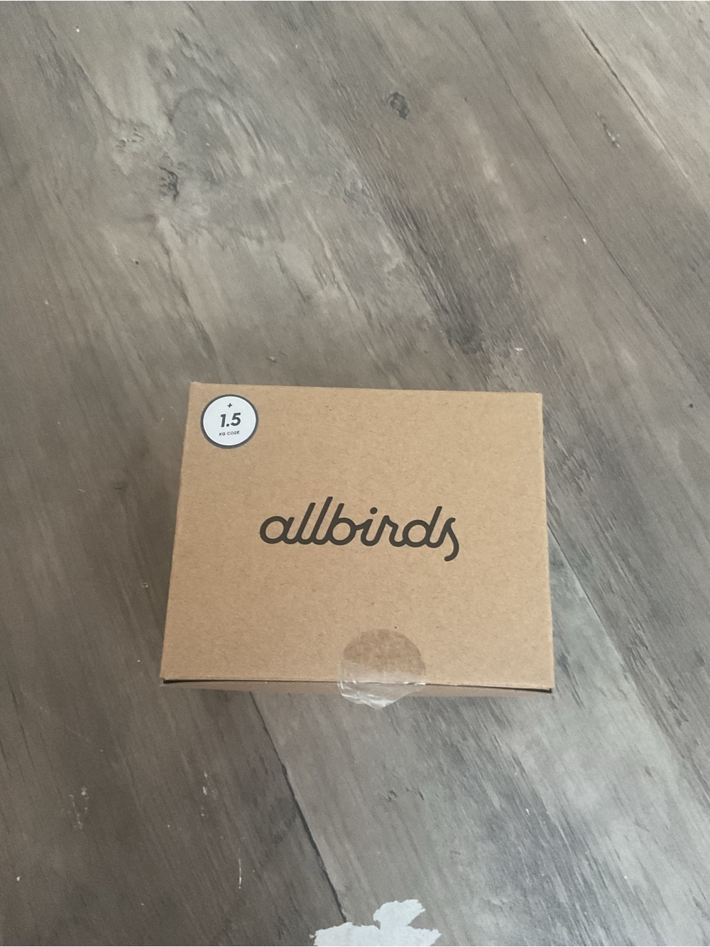 allbirds Trino Brief Underwear